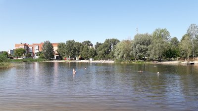 У річці біля двох пляжів Полтави виявили підвищений рівень кишкової палички: де саме