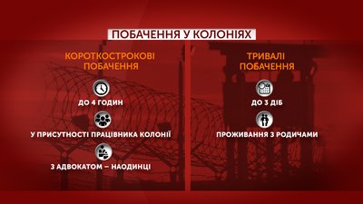 Графіка: побачення у колоніях Графіка: побачення у колоніях