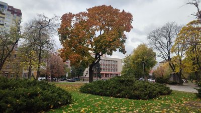 Сквер "Чайка" в Черкасах