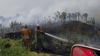На Дніпропетровщині – пожежа в екосистемі: вигоріло 3 гектари сухої трави й очерету
