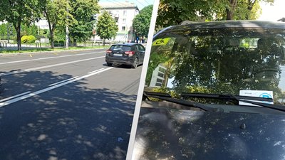 Нова розмітка на Театральній у Житомирі – за порушення правил водіїв штрафуватимуть на 680 гривень