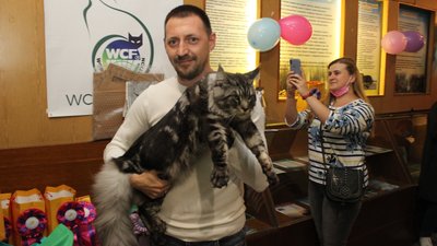 У Луцьку відбулася Національна виставка кішок. Кому дісталася перемога У Луцьку відбулася Національна виставка кішок. Кому дісталася перемога