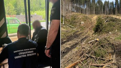 Судитимуть майстра Лазещинського лісництва за розтрату 600 кубометрів деревини