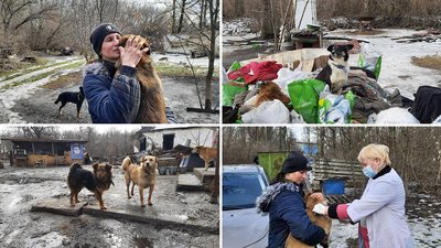 У кропивницькому притулку для тварин від сказу вакцинували сотню собак У кропивницькому притулку для тварин від сказу вакцинували сотню собак