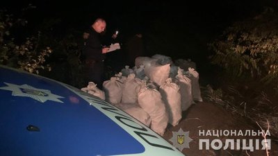 У лісосмузі в Одеській області виявили 20 тисяч наркотичних препаратів У лісосмузі в Одеській області виявили 20 тисяч наркотичних препаратів