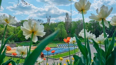 Головний державний прапор України приспустять. У КМДА назвали причину