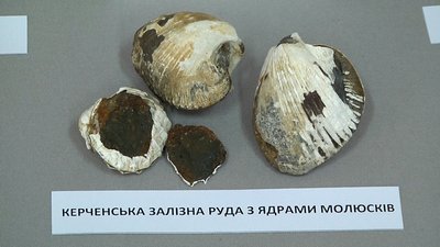 У Житомирі в краєзнавчому музеї на виставці корисних копалин представили 150 експонатів У Житомирі в краєзнавчому музеї на виставці корисних копалин представили 150 експонатів