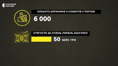 Стягнення аліменів на Полтавщині: деталі про санкції та кількість боржників Стягнення аліменів на Полтавщині: деталі про санкції та кількість боржників