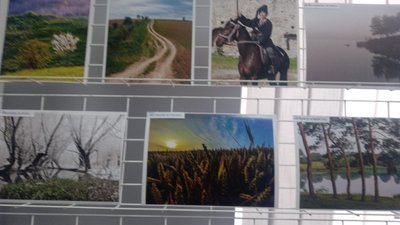 У Тернополі відкрили фотовиставку У Тернополі відкрили фотовиставку