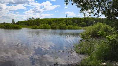 Синоптики розповіли, коли вода Десні впаде до звичного рівня