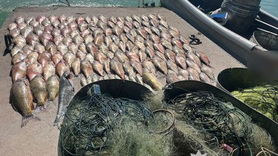 На Полтавщині двоє чоловіків незаконно виловили 175 кг риби: збитки перевищили 1,7 млн грн