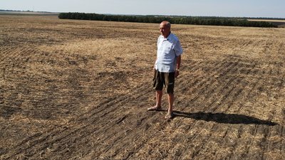 Посіяли озимину на полях в Кропивницькому районі