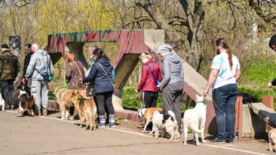 В Одесі оголосили "собачу мобілізацію". ФОТО, ВІДЕО