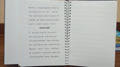 Книга шрифтом Брайля всередині Книга шрифтом Брайля всередині