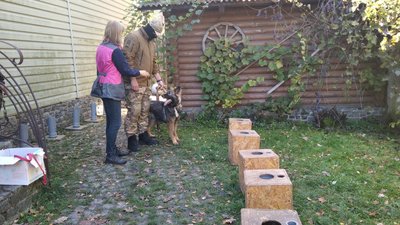 Подружжя з Житомира тренує собак для військових ЗСУ Подружжя з Житомира тренує собак для військових ЗСУ