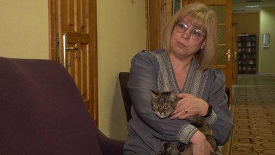 У Тернополі в бібліотеці живе кішка Принцеса У Тернополі в бібліотеці живе кішка Принцеса