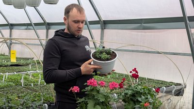 "Хочу розвінчати міф, що це суто жіноча справа": волинянин вирощує понад 50 сортів квітів у теплицях