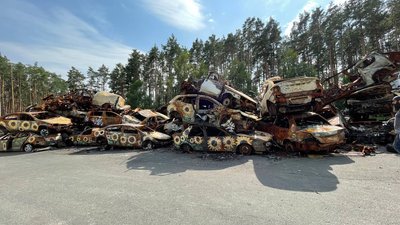 "В місцях, де пройшлась війна". Митець з Лос-Анджелеса малює соняхи на Київщині
