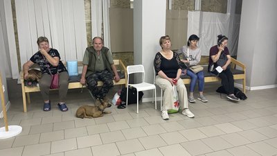Ветеринари з Одеси надають медичну допомогу евакуйованим тваринам в Херсоні Ветеринари з Одеси надають медичну допомогу евакуйованим тваринам в Херсоні