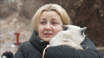 кіт, дснс, тернопіль, врятували кота