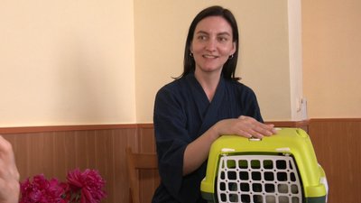 Останній із 22: з черкаського котохабу розібрали усіх евакуйованих з Маріуполя котів