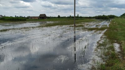 Літній паводок на Волині: селяни рятують врожай, чиновники шукають гроші Літній паводок на Волині: селяни рятують врожай, чиновники шукають гроші