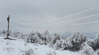 Через крижаний дощ 58 сіл на Чернігівщині залишилися без електрики