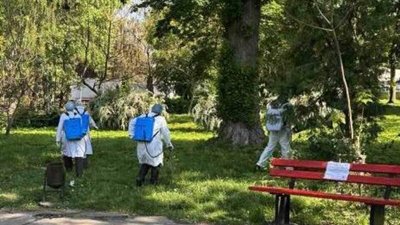 обробка парків, кліщі, обприскування