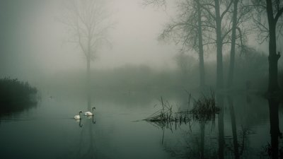 "Жовтий" рівень небезпеки: Черкащину накрило туманом