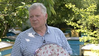 "Цей рік у нас бідний на мед": пасічники Волині про урожай меду через холодну весну — Антон Шотік "Цей рік у нас бідний на мед": пасічники Волині про урожай меду через холодну весну — Антон Шотік