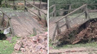 Повалені дерева й повінь: пам'ятка природи на Черкащині в аварійному стані через негоду