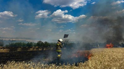Мобільні вогневі групи