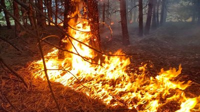 Протягом доби на Миколаївщині сталися 12 пожеж, чотири з них — внаслідок обстрілів