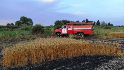 На Ніжинщині згоріло 55 гектарів пшеничного поля На Ніжинщині згоріло 55 гектарів пшеничного поля