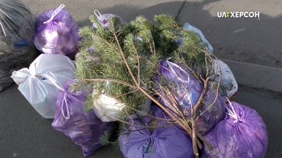 Херсонцям розповіли, куди викидати новорічні ялинки