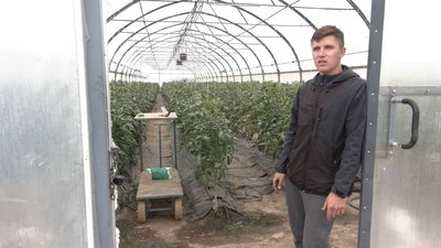У Владислава Шеремети пошкоджена теплиця У Владислава Шеремети пошкоджена теплиця