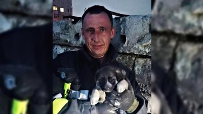 Назвали Джавеліною. На Львівщині надзвичайники витягнули з бетонних плит цуценя