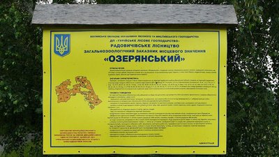 На Волині судитимуть чотирьох посадовців за схему розкрадання лісу на 17 мільйонів гривень На Волині судитимуть чотирьох посадовців за схему розкрадання лісу на 17 мільйонів гривень
