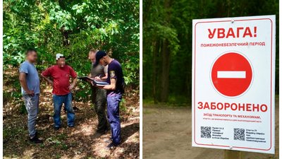 штраф за відвідвування лісу