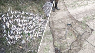 На Черкащині браконьєри наловили риби на майже сто тисяч гривень