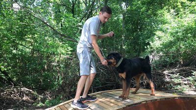 У Полтаві охочих навчали користуватися новим майданчиком для вигулу тварин У Полтаві охочих навчали користуватися новим майданчиком для вигулу тварин