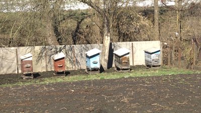 Прорив дамби у Романові: підтопило городи та хвилею зносило вулики Прорив дамби у Романові: підтопило городи та хвилею зносило вулики