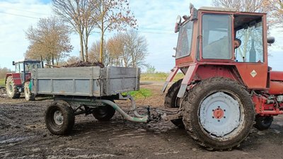 Запізнілий збір овочів на Волині: що кажуть аграрії Запізнілий збір овочів на Волині: що кажуть аграрії