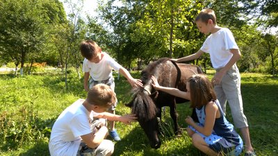 Вивезли шістьох дітей з інвалідністю та двох поні. Історія родини з Донеччини, яка переїхала на Прикарпаття