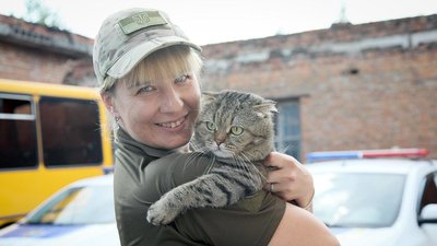 Кіт Тімошка третій рік їде в зону проведення ООС. Фото: нацполіція. Кіт Тімошка третій рік їде в зону проведення ООС. Фото: нацполіція.