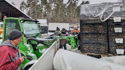 Буча отримала цибулини тюльпанів як благодійну допомогу від компаній із Нідерландів