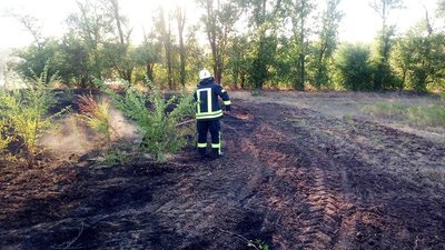 На Херсонщині за добу сталось 20 пожеж в екосистемах