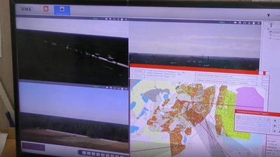 П'ять років без фінансування: як виживають лісгоспи Херсонщини П'ять років без фінансування: як виживають лісгоспи Херсонщини