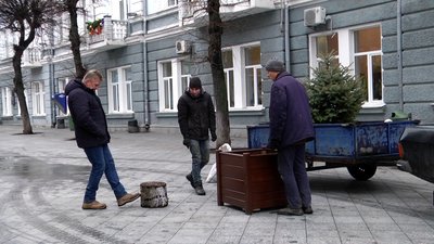 У Житомирі на Михайлівській встановили ялинки у діжках У Житомирі на Михайлівській встановили ялинки у діжках