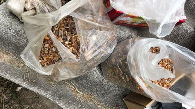 На Волині затримали групу, яка відправляла людей у трудове рабство На Волині затримали групу, яка відправляла людей у трудове рабство